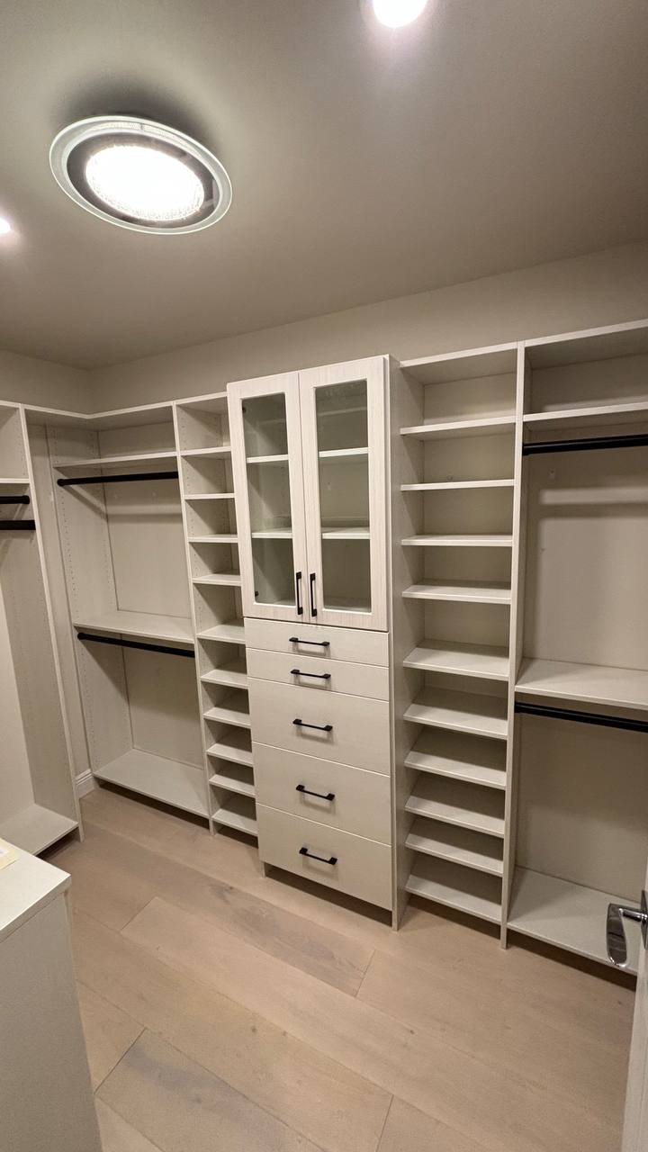Elegant Closet Organization